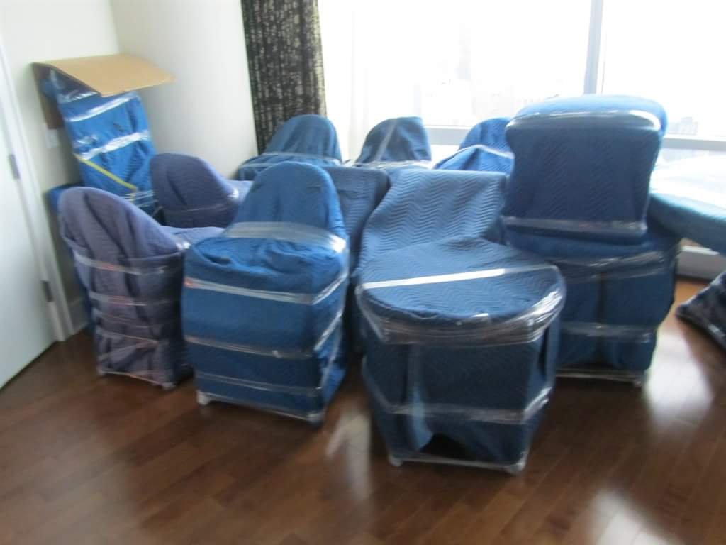 TampaBaysBestMover#1 photo 10